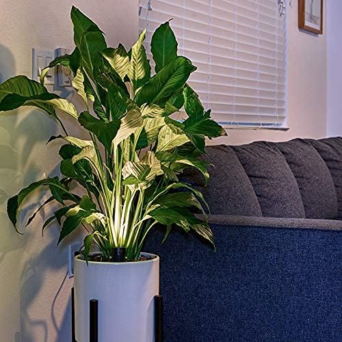 LED Indoor Spot Light za biljke & amp; Accent Lighting-Uplight & down Spotlight za biljke u