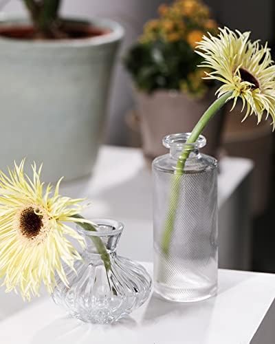 DN Dekonacija Staklena vaza, mali mini čisti cvijeće Center friece Vintage ručno rađen sa vjenčanim