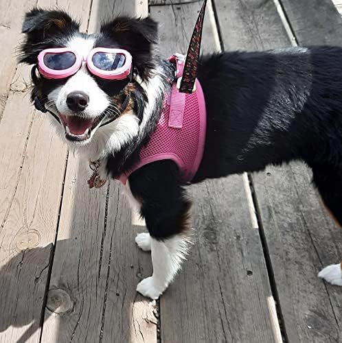 Nova verzija CocoPet preslatke pseće naočare za kućne ljubimce naočare za sunce za oči UV zaštita