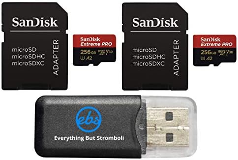SanDisk 256GB Micro SDXC Extreme Pro memorijska kartica radi sa GoPro Hero 8 Black, Max 360 Cam U3 V30