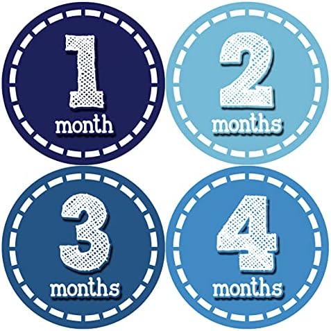 Baby Monthly Stickers / baby Milestone Stickers / newborn Stickers / mjesec Stickers za Baby