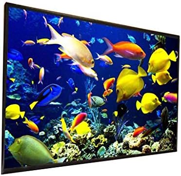 ZLXDP ekran projektora na otvorenom 150 200 inča 300 inča Bijelo platno materijal 180 250 inča Opcionalno 16: 9/4: 3 za LED projektor