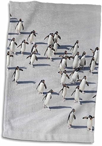 3D ruža zrakoplovna zgrada penguina prelaska mokra plaža-antarktika ručnik ručnika, 15 x 22