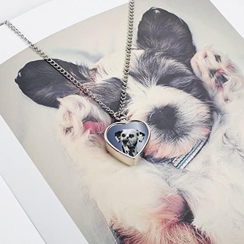 Dalmatinska krema za kućne ljubimce nakit za pepeo urna ogrlica Memorijalni nakit privjesak za uspomenu za kućne ljubimce pepeo psa mačke