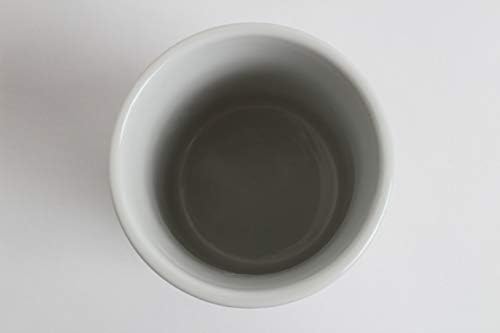 Mino Ware Japanska keramika Suši Yunomi Chawan čaj za čaj Fujin & Raijin proizveden u Japanu Yay059