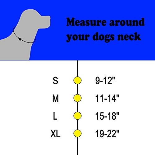 Ogrlica ovratnik za pse ovratnik za martingale Okrug sa dvostrukim redom lanac ogrlica za srednje