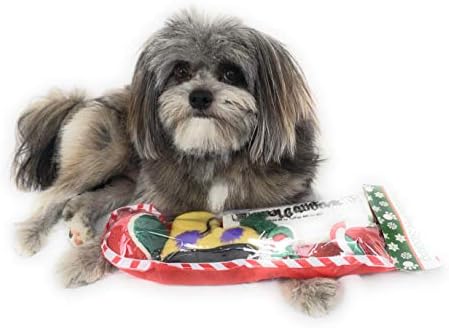 Božićne pse čarape za igračke. Pakovanje je razveseljeno s prskanjem unutar novine igračke, škripav čizma, crvenog, zelenog i bijelog teniskog kuglica i crvenog bijelog i zelenog konopca Xmas Toy. Male srednje velike pasmine