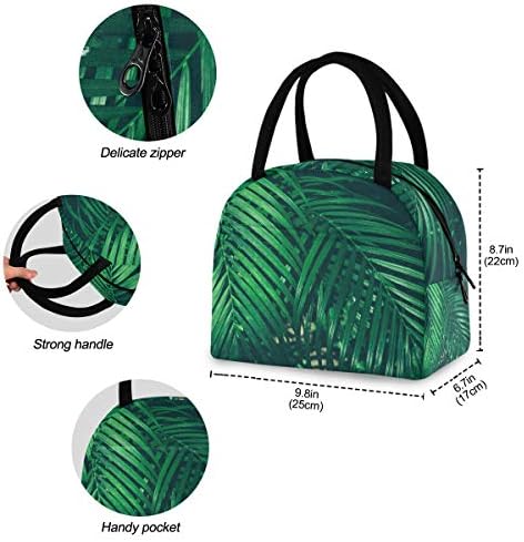 YYZZH tropska džungla palminog lista lišće tamnozelenog printa izolovana Zipper torba za ručak Cooler Meal Prep torba kutija za ručak torba za odrasle muškarce žene ured kućne škole na otvorenom