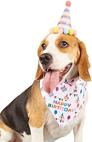 QWINEE 2kom rođendan psa Bandana & šešir pompom Decor štene mačka šešir crtani grafički Bandana