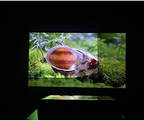 QFWCJ ekran sa visokim svjetlinom 3,2m x 1,6 m od reflektirajuće tkanine za zavjese od tkanine