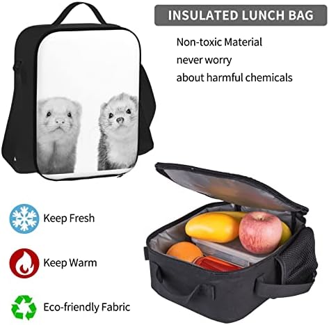 OGNOT Ferrets Printing School ruksak Tinejdžeri djevojčice dječaci školske torbe torba sa torbom za ručak