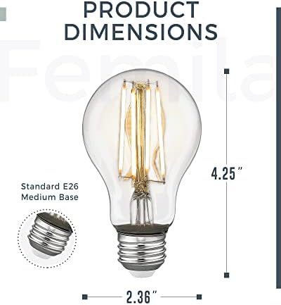FEMILA LED sijalica 6W, A19 LED Edison sijalica,60W ekvivalentna, topla bijela 2700k, E26 baza, bez zatamnjivanja, pakovanje od 6, A19-LED