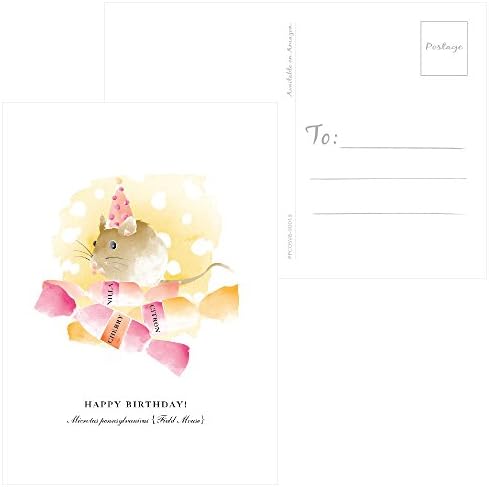 Napomena Card Cafe Rođendanska razglednica | 60 pakovanje | akvarelna proslava | 4,25 x 6 u standardnoj