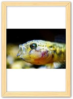 Marine organizam Mala tropska riba ukrasna drvena slika na domaćem ukrasu Frame slike A4