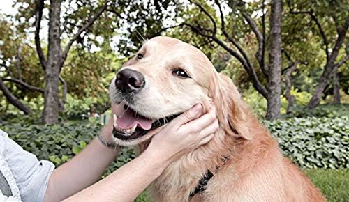 Liječenje pasa za čišćenje zuba velikih pasa-njega zdravih zuba za pse-kompleks desni i zuba-izgradnja stop plaka-zdravlje zuba psa - 2 bočice