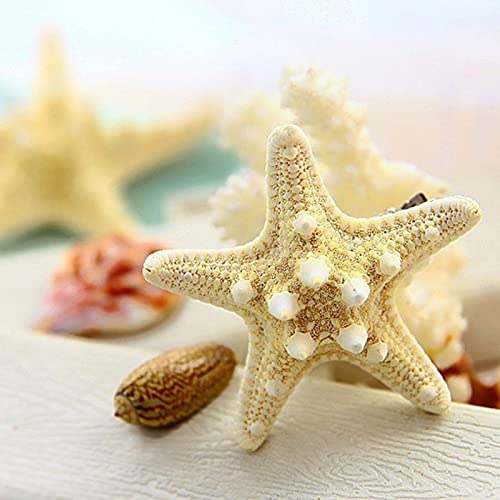 Iaceble Bohemia Starfish Hair Clip Barrette Sea Star side Clip ukosnica prirodna Starfish Headwear