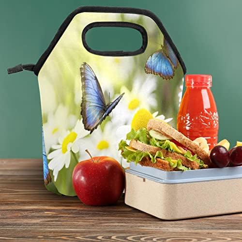 GUEROTKR torba za ručak za muškarce, izolovana kutija za ručak, kutija za ručak za odrasle,leptir