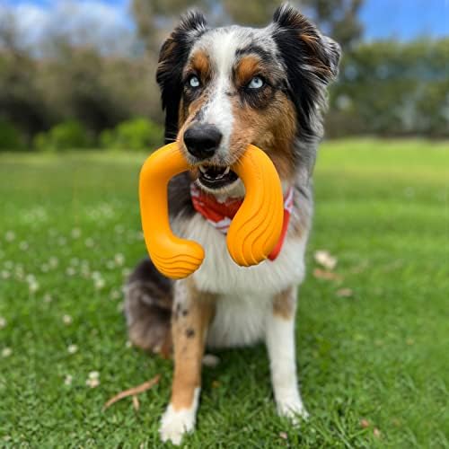 Nylabone play Toys for Dogs | Creative play Interactive & stimulacija uma Fetch pas Toys / igračke