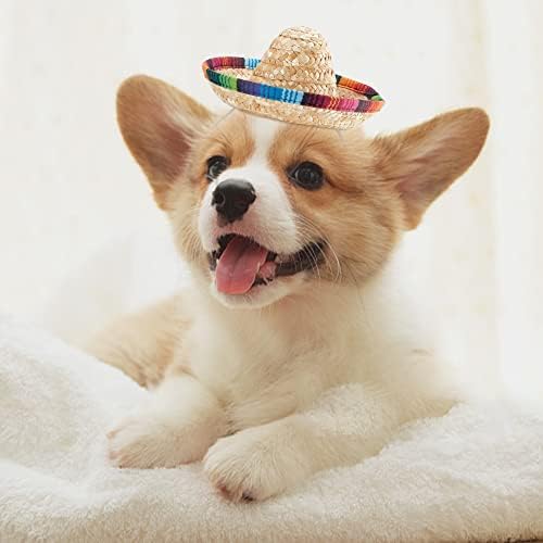 Weereedy 2 komada PET meksička slamka pasa Sombrero Hat Sombrero Cap Party Dekoracije za zabave, fotografije i Noć vještica