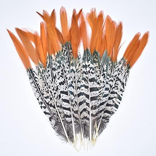 Prirodna dama fazana perje za zanate 5-30Cm/ 2-12 pero dekor zanat perje ukras Plumas Plumes