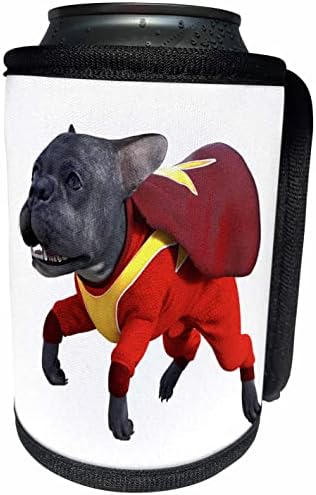 3Droza crtani francuski buldog u Super Dog odijelo - može li hladnija boca