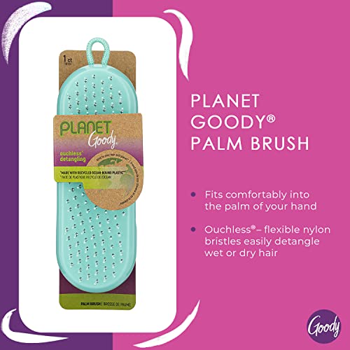 Planeta Goody Detangling Palm dlaka četkica - Teal - Detantler češalj za žene, muškarce i djecu - mokra ili suhu - za prirodnu, ravnu, debelu i kovrčavu kosu - napravljenu od reciklirane plastike vezane za reciklirano