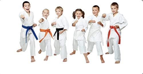 Karate uniforma za djecu i odrasle lagane borilačke vještine GI sa bijelim pojasom