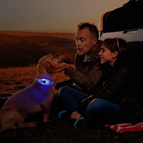 T2Y ogrlice za pse, 3-in-1 LED ovratnik za punjivu pasa, vodootporni ovratnik za pse i osnovni ovratnik sa