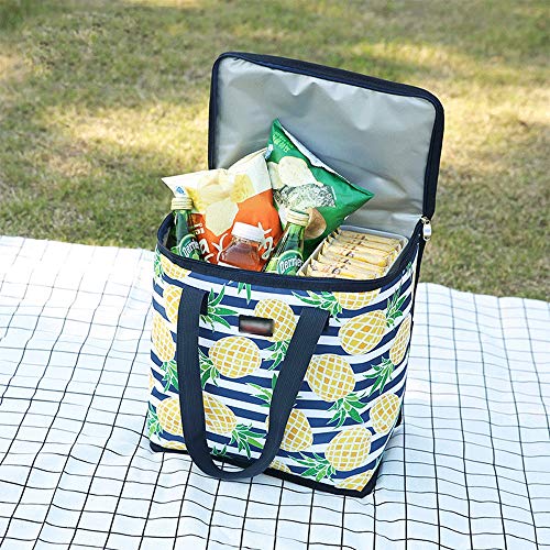 JQZLXYCZWL veliki kapacitet vodootporni piknik ručak torbe torbe za odrasle djecu, Gospođa Men Cool