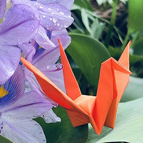 100pcs 10cm PretDrea Rainbow origami ptice presavijeni origami papirnati dizalice za angažman za