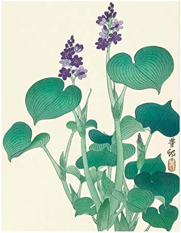Japanese Botanical Prints | Oriental Floral Wall Art by Ink Inc. / Set od 6 8x10 Neuramljenih