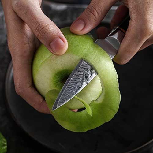 SHIRKHAN japanski nož za čišćenje Damaska 3,5 inča-Ultra oštar kuhinjski nož za voće - 67 slojeva