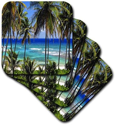 3drose CST_173296_1 scena tropskih dana s njivanom palme i pogledom plavog oceana mekog coastera