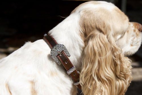 Bijeli i zlatni personalizirani ovratnik za pse | Bling ovratnik za pse | S m l