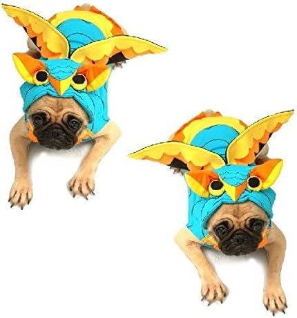Kostim za pse - Šareni kostimi sove oblače vaše pse poput sova