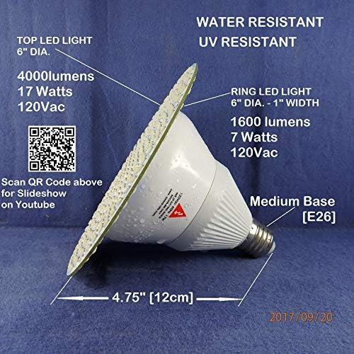 4000-Lumenska LED sijalica za bazen sa sekundarnim LED prstenom [6000K], 6 D x 4,75 L, Srednja baza [E26], 120VAC, 24Watts, P/N: SPTL180LRU-SPTL420LMCD-LBWR-