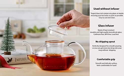 CNGLASS stakleni časovni časopis Sef, jasan čajnik s izmjenjivim prefilcem 20,3 oz, labavi list i cvjetanje aparata za čaj