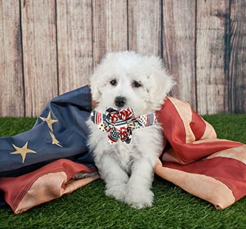Elegantni sitni rep američki ogrlica za pse, slatka odvojiva ovratnik za pse sa cvijetom, poklon za kućne