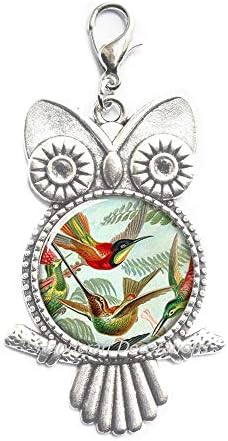 HandingBraftScorationsbird Owl patentni zatvarač Povucite dva leteća kolingbird sova patentni pauze sa staklom Photo Owl patentni sat, hummingbird nakit, ptice sova sa zatvaračem, nakit cvijeća, priroda nakit.f251
