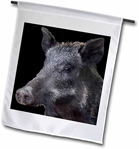 3Droza Taiche - Vector Art - Boar - Vektor za zodijak divlje svinje - Zastave