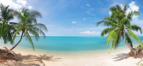 Wallmonkeys Wm311695 panoramska tropska plaža sa naljepnicama za zidove od kokosove palme i štapa, srednje velike