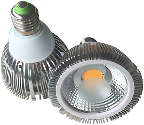 2kom LED PAR lampa 12W PAR lampe Cob PAR30 Spot svjetlo spot istaknuto