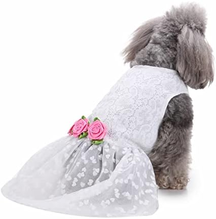 Teacup Yorkie odjeća za djevojčice Slatka pet Wite suknja prozračna ljetna košulja bez rukava udobna pseća košulja prozračna pas
